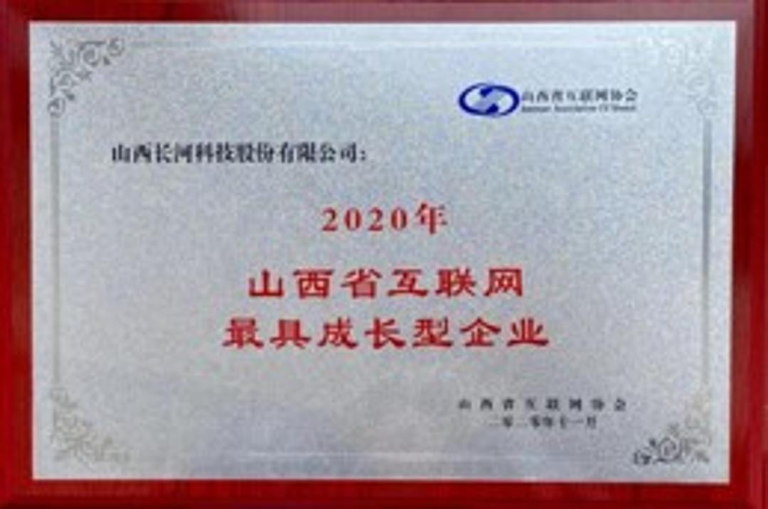 山西省互聯(lián)網(wǎng)最具成長型企業(yè)